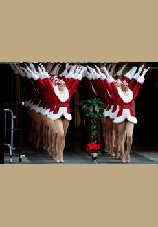 High Collar Fur Santa Ballet Costume