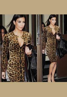 Sexy Leopard Dresses