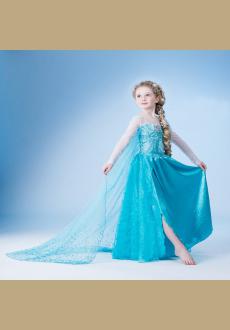 Frozen dress princess dress 