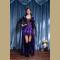 Purple Vintage Witch Queen Costume