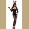 Chantilly Lace Bunny costume
