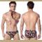 Classic Pattern Vintage Striped Sexy Men's Swimming Briefs Plus size