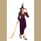 Adult Purple and Brown Salem Witch Costume