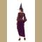 Adult Purple and Brown Salem Witch Costume