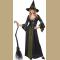 Adult Classic Witch Costume