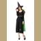 Women Halloween Costume  Adult Wicked Witch Dress